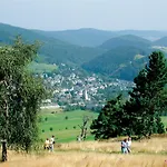 Rossberg In Traumhafter Naturlage Mit Upland-blick! Semesterbostad